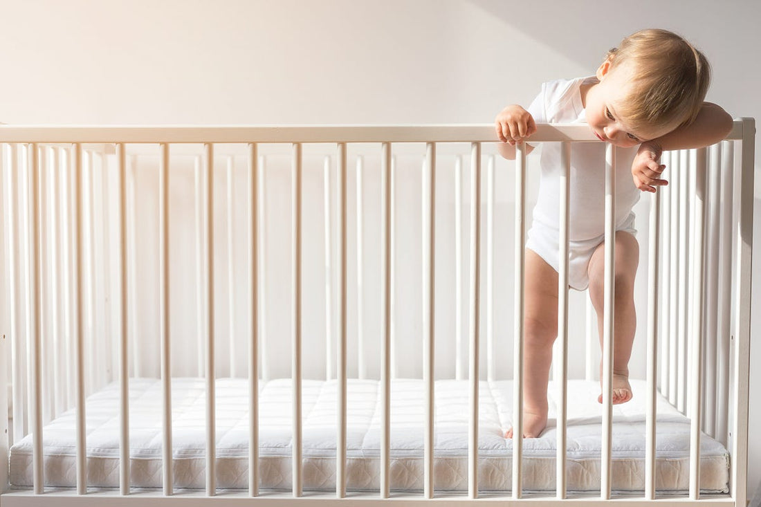 Essential Baby Protection Products For The Home