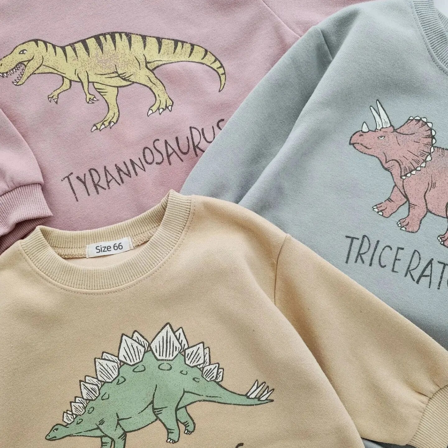 Dinosaur Sweatshirt